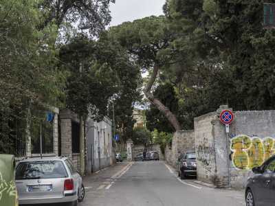 Da questo punto in poi, dopo aver incrociato sulla destra via dei Mille, la strada si fa ancora pi� stretta e ombrosa. Gli alberi degli edifici affacciati infatti debordano dai muri in pietra andando a ricoprire il cielo sopra via Ulpiani